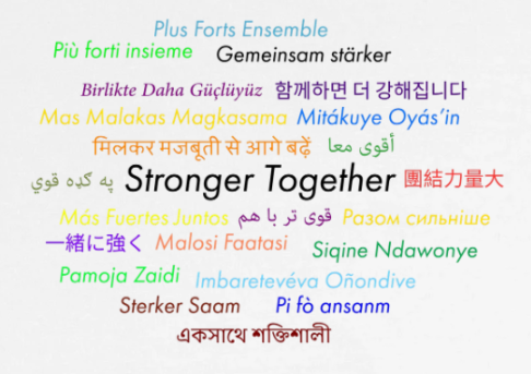 Strength In Diversity - Global Edition Cropped T-Shirt