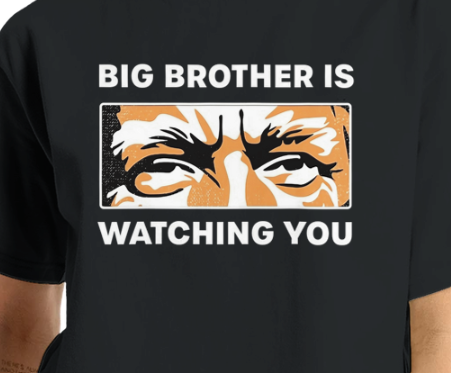 Big Brother Is Watching You Cropped T-Shirt