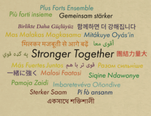 Strength in Diversity - Global Edition T-shirt