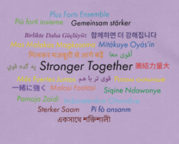 Strength in Diversity - Global Edition Hoodie