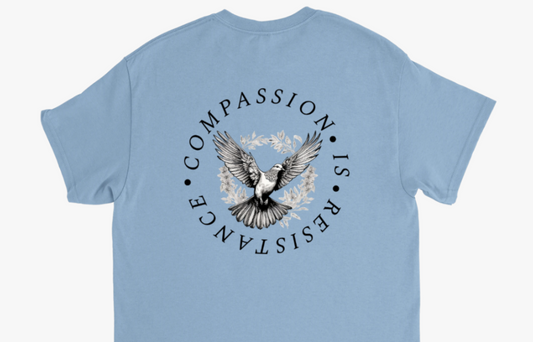 Redacted  Kindness is Radical T-shirt