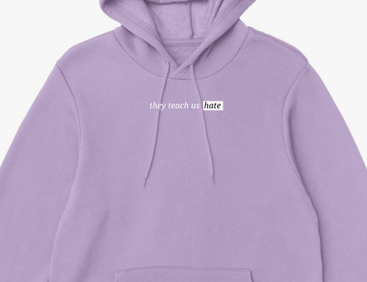They Teach Us Hate Hoodie