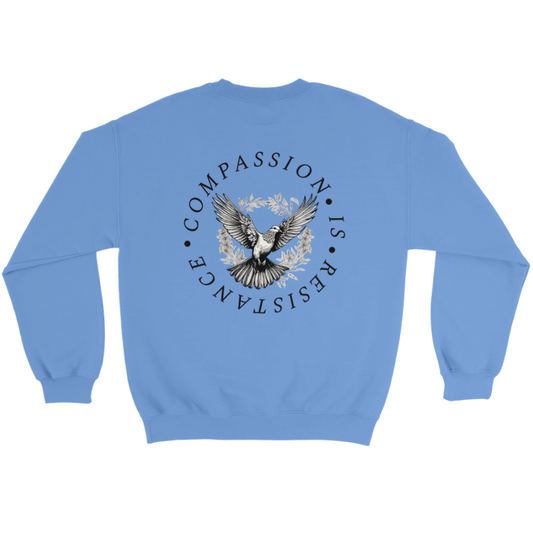 Redacted Kindness is Radical Sweatshirt