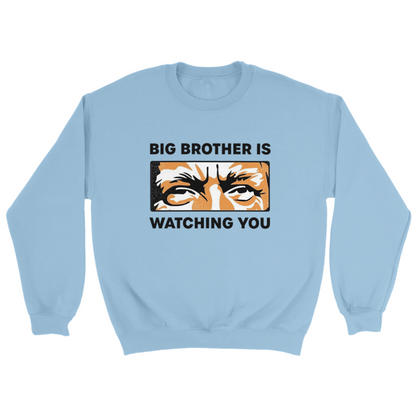 Big Brother Is Watching You Sweatshirt