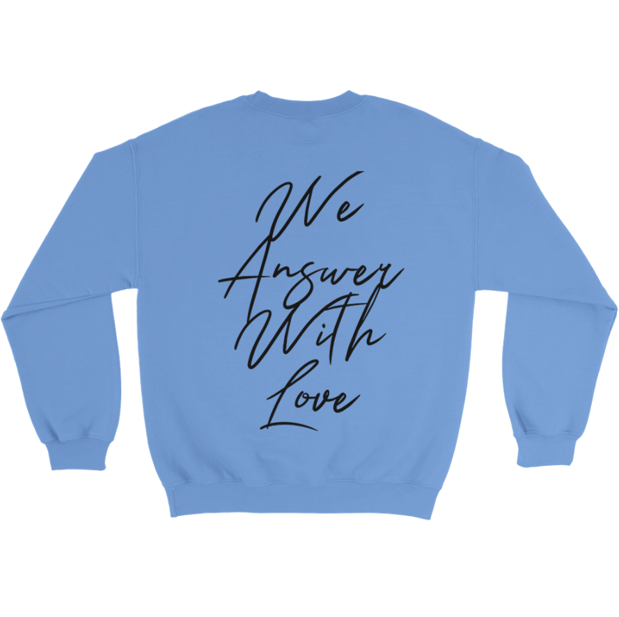 They Teach Us Hate Sweatshirt