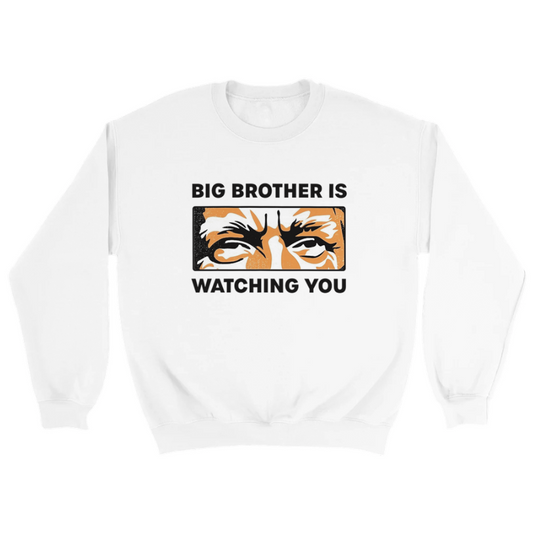 Big Brother Is Watching You Sweatshirt