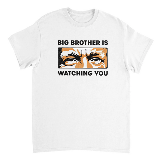 Big Brother Is Watching You T-shirt