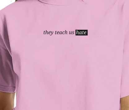 They Teach Us Hate Cropped T-Shirt