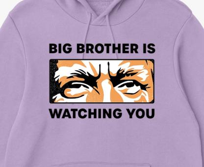 Big Brother Is Watching You Hoodie