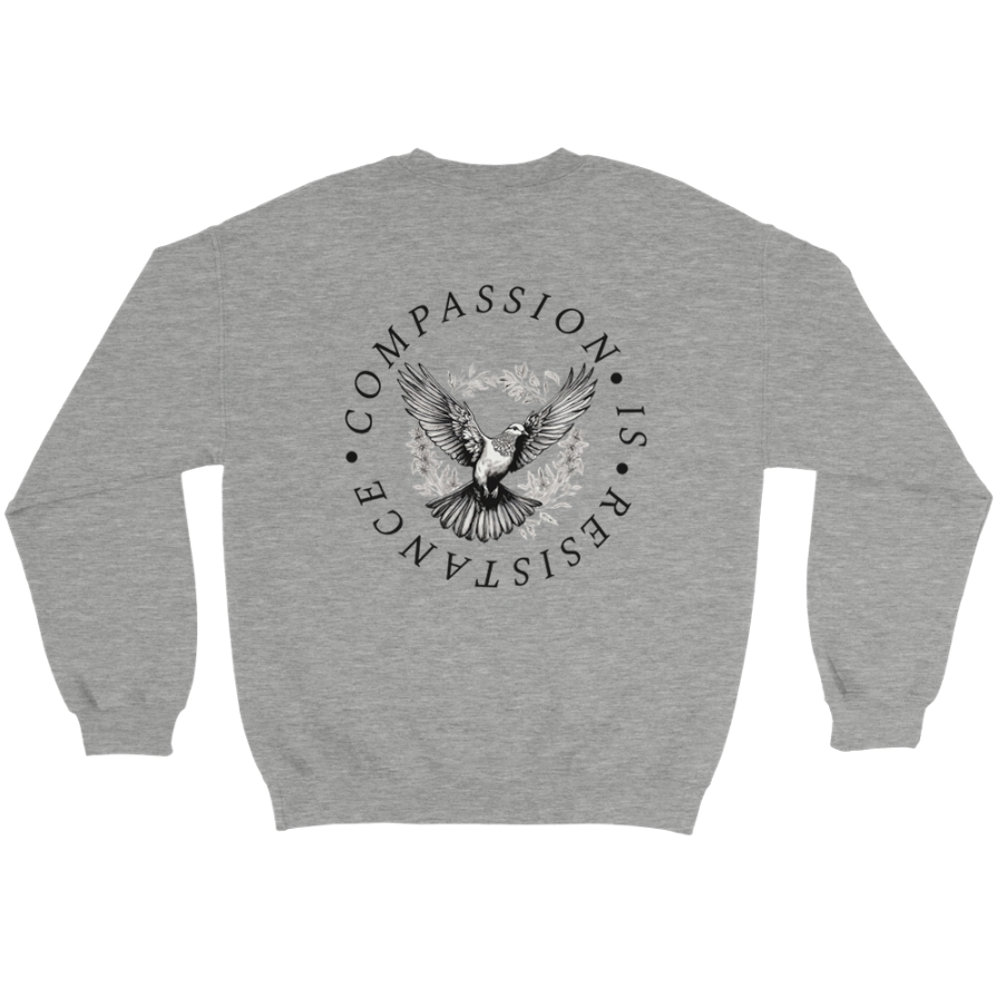Redacted Kindness is Radical Sweatshirt