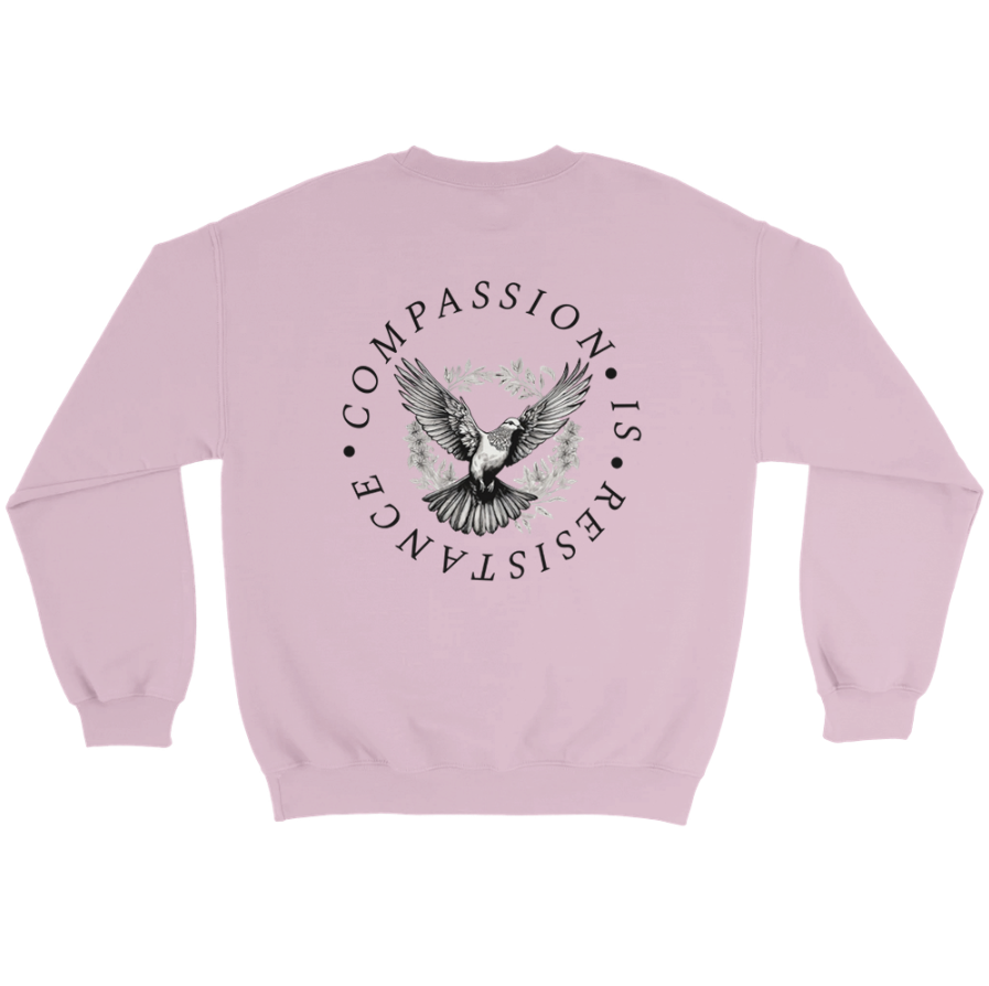 Redacted Kindness is Radical Sweatshirt