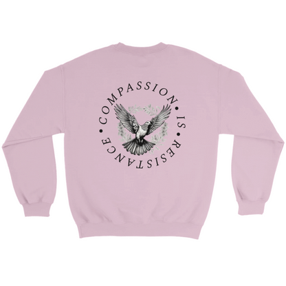 Redacted Kindness is Radical Sweatshirt