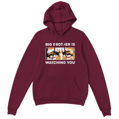 Big Brother Is Watching You Hoodie