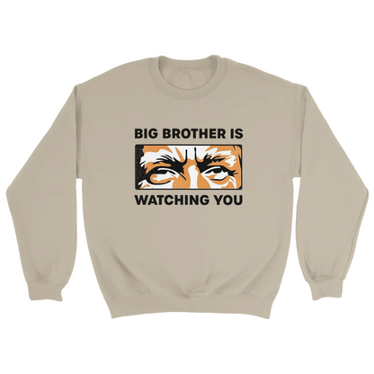 Big Brother Is Watching You Sweatshirt